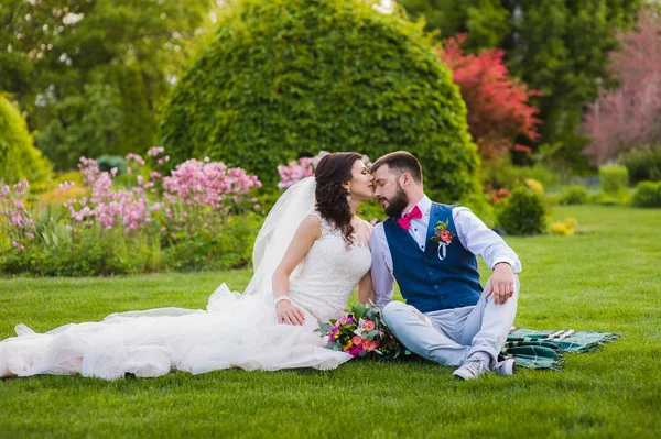 Schönes Ehepaar küsst sich im Gras — Stockfoto