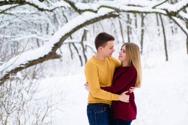 Genç çift Kış ormanda hugs