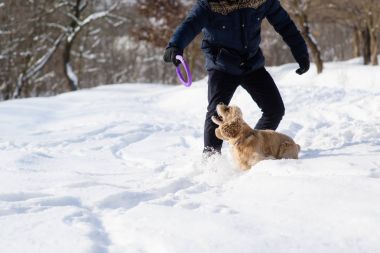 Man oyun kar orman köpek ile