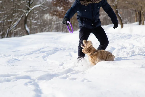 Man play with dog in snow forest