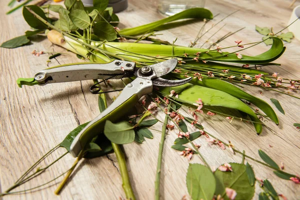 Gambi verdi con potatore in negozio di fiori — Foto Stock