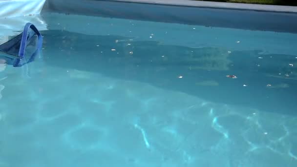 Zwembad schonere netto dia van links naar rechts — Stockvideo