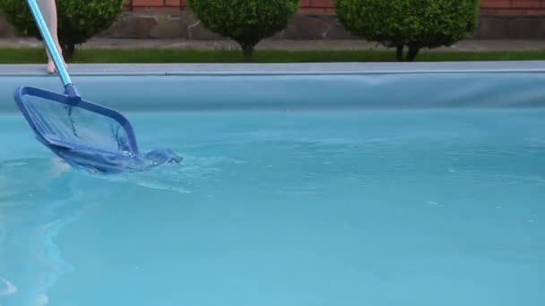 Pieds de nettoyeur de piscine avec filet attraper les ordures sur la surface — Video