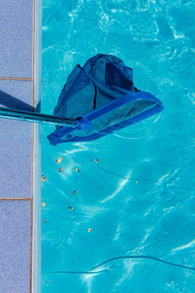 Lixo na piscina e líquido de limpeza de perto — Fotografia de Stock