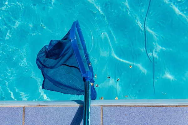 Swimmingpool blå rengøring værktøj - Stock-foto