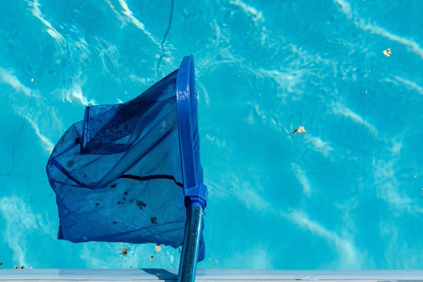 Trash in pool and net cleaner close up — Stock Photo, Image
