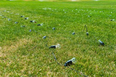 Ampuller, çimde çelenkler var.