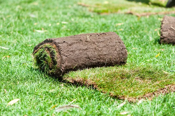 Lawns coating by natural grass dirt rolls — Stock Photo, Image