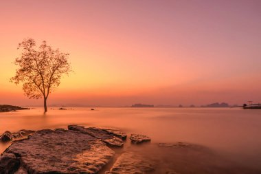 Sıcak tonlarda sessiz doğanın güzel manzarası, akşam saatlerinde pürüzsüz su yüzeyiyle uzun pozlama efekti, dağ siluetleri ve odun siluetleri.