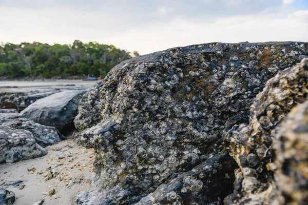 Grandes Rocas Grises Silenciosa Playa Isla Tailandia Asia Durante Día —  Fotos de Stock