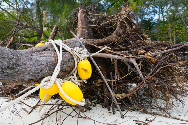 Tayland Beyaz Kumlu Plajında Köklerinden Sökülmüş Eski Bir Ağacı Olan — Stok fotoğraf