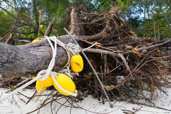 Zicht Exotische Aziatische Kust Met Oude Ontwortelde Dode Boom Wit — Stockfoto