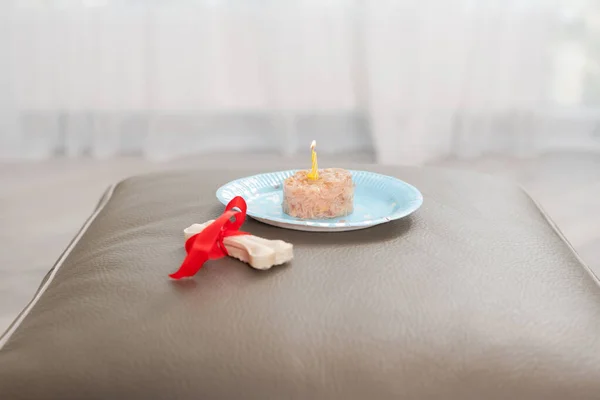Comida Regalo Sorpresa Para Perro Cumpleaños Interiores — Foto de Stock