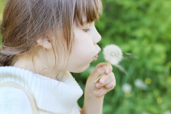 Little beautiful girl blows white dandelion outdoor in summer — Stock Photo, Image