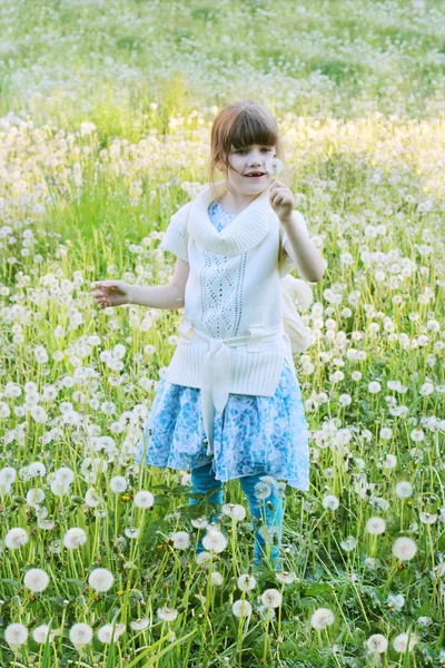 Piccola bella ragazza tiene dente di leone bianco a campo in estate — Foto Stock