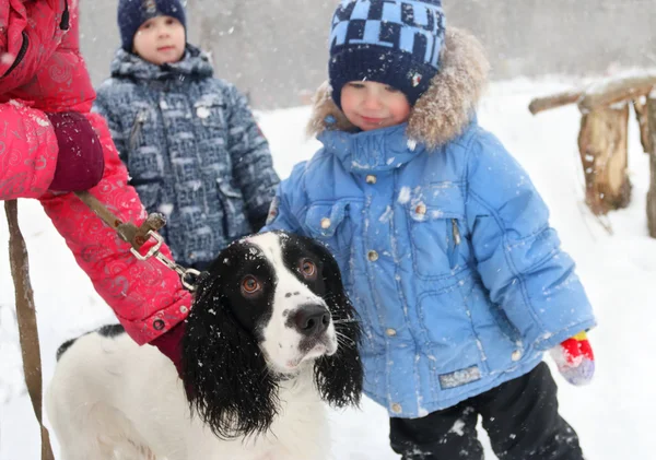 Dos muchachos y el perro y las manos del dueño del perro durante la nevada —  Fotos de Stock