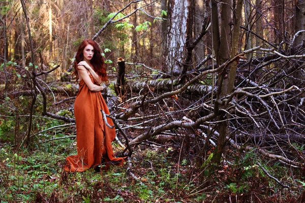 Pretty girl in plaid stands near downed trees in forest — Stock Photo, Image