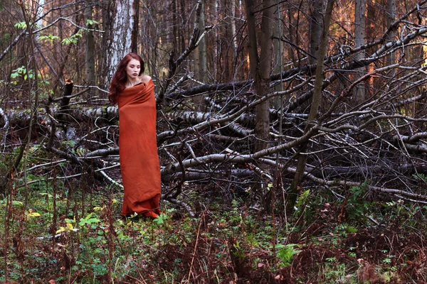 Kız ormanda düşen ağaçlar yakınındaki ekose standları — Stok fotoğraf