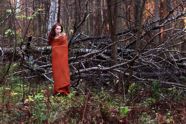 Menina em xadrez fica perto de árvores derrubadas na floresta — Fotografia de Stock