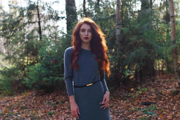 Красивая женщина с рыжими кудрявыми волосами позирует в лесу теплой осенью — стоковое фото