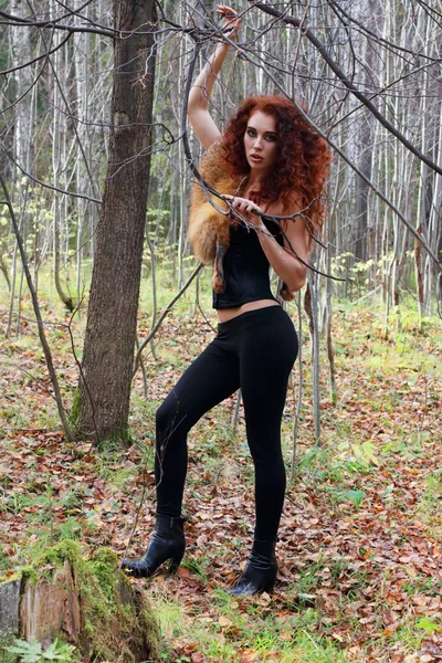 Mujer joven y bonita posa con ramas de árboles en el bosque de otoño — Foto de Stock