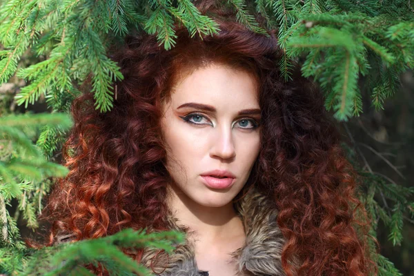 Beautiful young woman poses among fir branches in forest — Stock Photo, Image