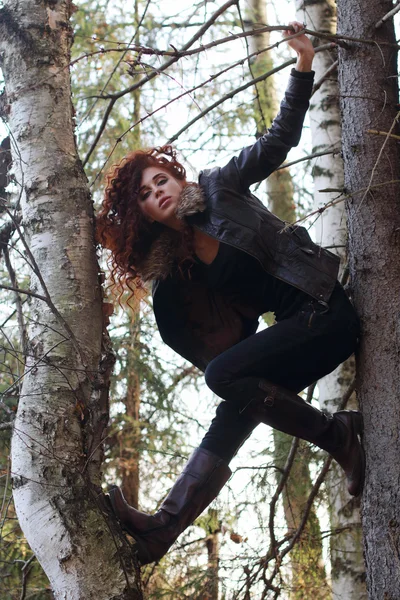 Pretty girl in boots with curly hair poses on old fir-tree — Stock Photo, Image