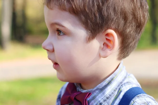 Handsome little boy in shirt and bow tie looks away in sunny gre — Stock Photo, Image