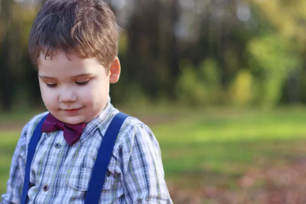 Handsome little boy with bow tie looks down in green park, shall — Stock Photo, Image