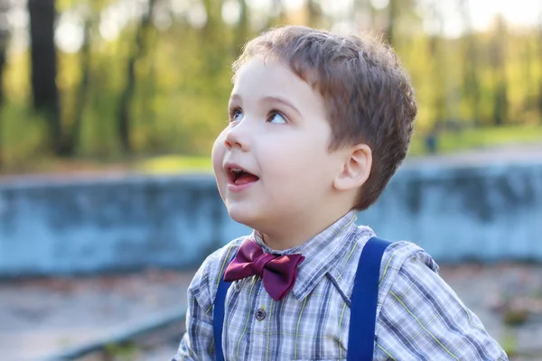 Menino bonito com gravata borboleta olha para cima no parque ensolarado, raso — Fotografia de Stock