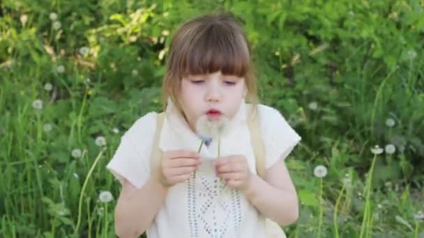 美しい少女が夏の日の屋外 2 つの白いタンポポを吹く — ストック動画