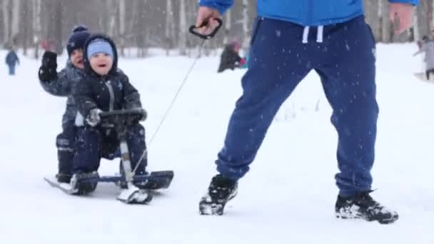 Mano masculina arrastra a dos niños felices en trineo cerca de otro niño durante la nevada en el parque — Vídeo de stock