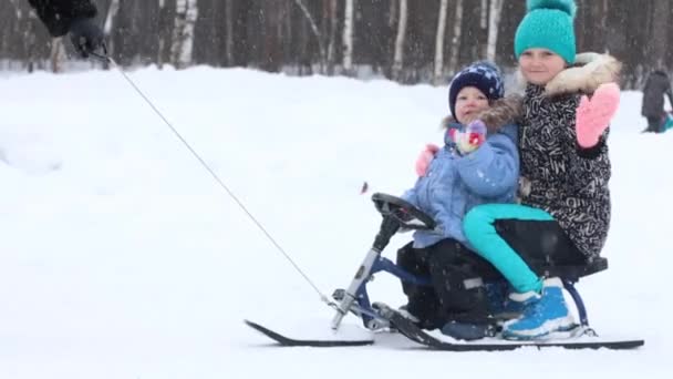 Happy boy and girl ride on sled and wave hands during snowfall in park — Stock Video