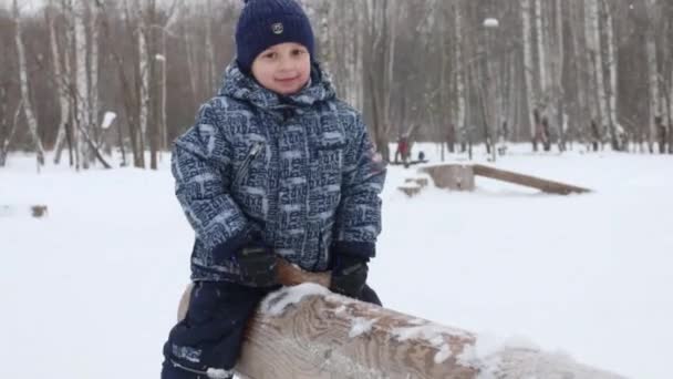 Souriant petit garçon mignon sur tronc de scie pendant les chutes de neige dans le parc d'hiver — Video