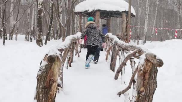 Szczęśliwy, że mały chłopiec i dziewczynka uruchomić na most podczas opadów śniegu w zimie park — Wideo stockowe