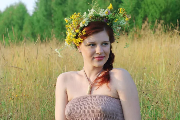 Schöne sommersprossige Frau im Kranz von Wildblumen im trockenen Feld — Stockfoto