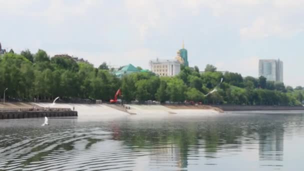 Γλάροι πετούν πάνω από το νερό του ποταμού κοντά σε προκυμαία στην ηλιόλουστη μέρα του καλοκαιριού — Αρχείο Βίντεο