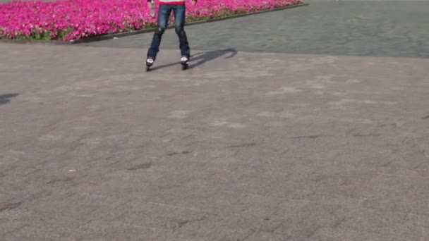 Male legs in jeans roller skating on pavement at summer day in city — Stock Video