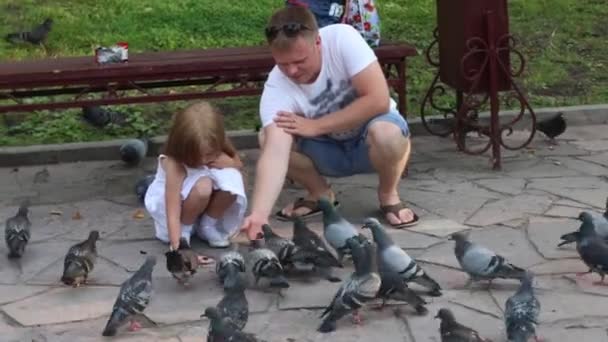 Pai feliz e pequena filha alimentam pombos no parque de verão — Vídeo de Stock