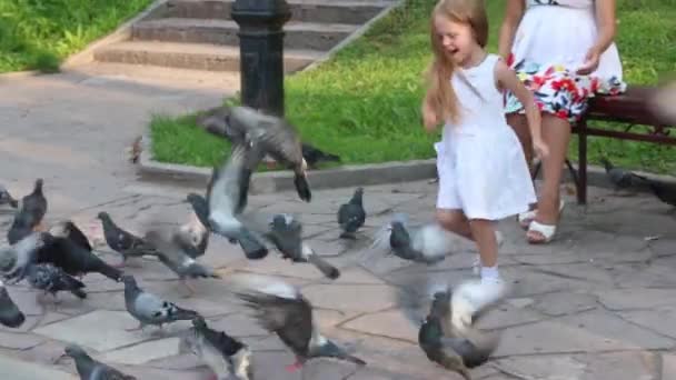 Feliz niña corre entre muchas palomas en el soleado parque — Vídeos de Stock