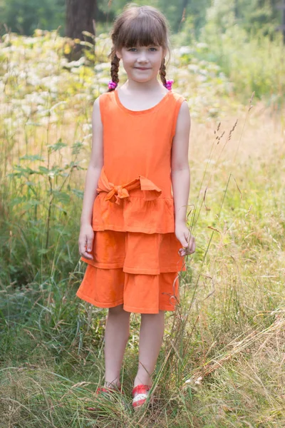 Happy pretty little girl stands among dry grass in sunny summer — Stock Photo, Image