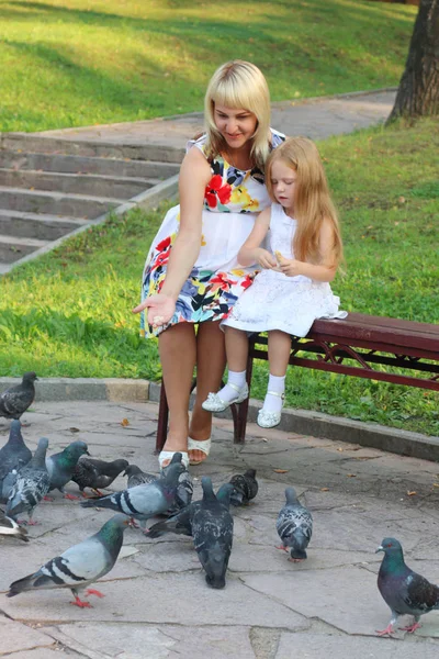 Madre embarazada y su hija alimentan a las palomas en el soleado parque de verano Imagen de stock