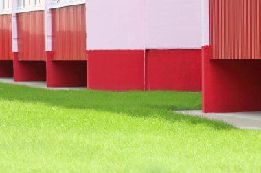 Parlak yeşil çim çimen evde güneş tarafından aydınlatılmış 