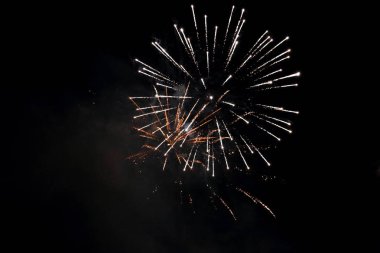 Güzel havai fişek şeklinde çiçek 