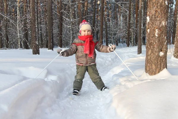 Ευτυχισμένος όμορφο μικρό αγόρι με κόκκινο μαντήλι σκι στο δάσος στο sunny — Φωτογραφία Αρχείου