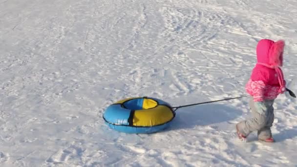 Little girl drags bright snowtube on snow at winter sunny day — Stock Video