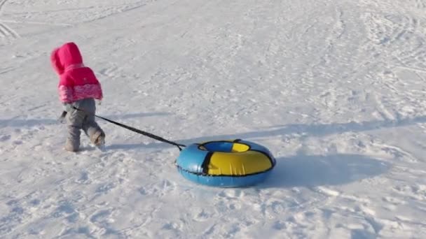 Little girl drags bright snowtube on snow at winter day, back view — Stock Video