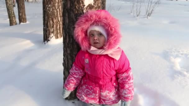 Liten söt flicka i rosa står nära träd i skogen i solig vinterdag — Stockvideo