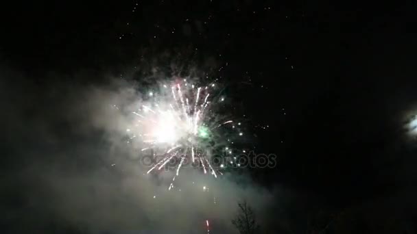 Fogos de artifício brilhantes mostram na noite escura durante a celebração — Vídeo de Stock