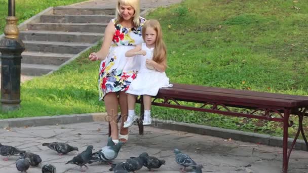 Pregnant mother and daughter feed pigeons in summer park — Stock Video